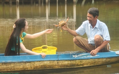 Phát triển hạ tầng giao thông đưa nghề nuôi cua Cà Mau vươn xa