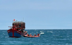 Hơn 500 người thoát nạn trên biển trong 7 tháng