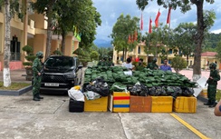 Hà Tĩnh: Bắt giữ đối tượng cất giấu 240kg cần sa khô