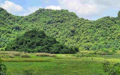 Ninh Bình: Phát hiện bộ xương nghi của người đàn ông mất tích hơn một năm trước