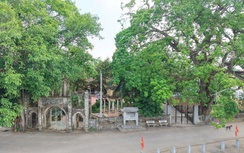 Ninh Bình: Di tích lịch sử Khu căn cứ cách mạng Quỳnh Lưu xuống cấp nghiêm trọng