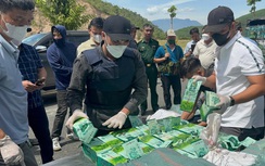 Bắt 2 người vận chuyển hơn 295kg ma túy trong đường dây xuyên quốc gia