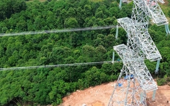 Tiến độ đường dây 500kV đoạn qua tỉnh Lào Cai hiện ra sao?
