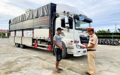 Huế: Phát hiện xe tải chở 30 tấn đường trắng không rõ nguồn gốc trên đường đi tiêu thụ