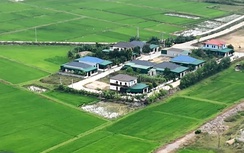 Nghệ An: Cuộc sống người dân đổi thay sau 3 năm về khu tái định cư dự án cao tốc Bắc - Nam