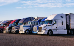 Mỹ bất ngờ ngừng cấp thị thực lao động cho tài xế xe tải thương mại nhập cư