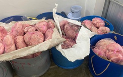 Gia Lai: Tiêu hủy hơn 1 tấn thịt heo và chả ram không rõ nguồn gốc
