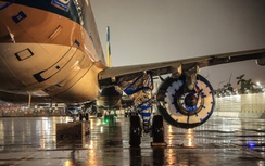 Hủy nhiều chuyến bay do ảnh hưởng của bão số 5