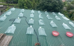 Gia cố mái nhà tránh bão, người đàn ông Nghệ An bị điện giật tử vong thương tâm