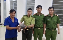 Người dân ở Tây Ninh giao nộp tê tê quý hiếm cho cơ quan chức năng