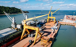 Khuyến cáo doanh nghiệp cảng biển tạm dừng làm hàng từ 24/8 để ứng phó bão số 5