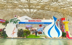 Quảng Ngãi mang sâm Ngọc Linh đi triển lãm tại Hà Nội