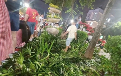 Xử lý nghiêm các hành vi gây mất trật tự khi xem tổng hợp luyện diễu binh, diễu hành