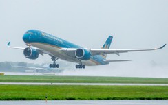 Hơn 400 chuyến bay bị ảnh hưởng bởi bão số 5