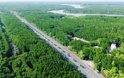 TP.HCM: Đề xuất chủ đầu tư tạm ứng kinh phí GPMB tuyến metro TP.HCM - Cần Giờ