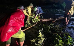 Hà Tĩnh - Nghệ An: Xuyên đêm dọn cây đổ, khơi thông giao thông sau bão số 5