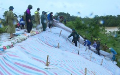 Những thiệt hại ban đầu khi bão số 5 đi qua