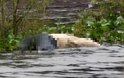 Bắc Ninh: Phát hiện thi thể 2 thiếu nữ dưới ao, để lại tin nhắn cho gia đình