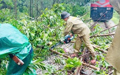 Đảng ủy Bộ Xây dựng chỉ đạo tập trung ứng phó, khắc phục hậu quả bão số 5
