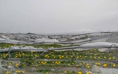 Hà Tĩnh: Hơn 6.300 ngôi nhà bị tốc mái, hoa màu hư hại, tàu thuyền bị chìm