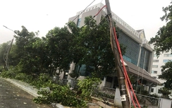 Bão số 5 làm 5 người chết, 6.808 nhà tốc mái, hư hại