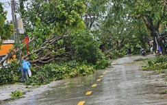 Nghệ An: Ước tính thiệt hại khoảng 1.245 tỷ đồng do bão số 5 gây ra