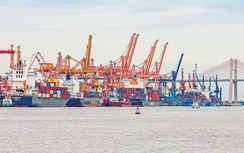 Hạ tầng đi trước giúp cảng biển Việt vươn tầm