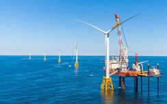 Nửa thế kỷ kiến tạo, Petrovietnam tiếp tục giữ vững vai trò đầu tàu kinh tế