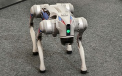 Cận cảnh robot "trinh sát" dò mìn, súng khép góc, khí tài đặc biệt của lực lượng công an