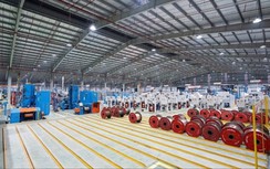 GELEX thông qua phương án tạm ứng cổ tức 8% năm 2025