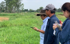 Gia Lai nghiên cứu lập quy hoạch quỹ đất vùng phụ cận hai ga đường sắt tốc độ cao