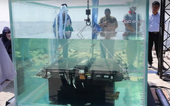 Pin xe điện thế hệ mới ngâm trong nước muối vẫn nguyên cấu trúc hoàn chỉnh