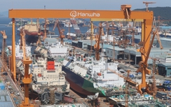 Các tập đoàn đóng tàu lớn Hàn Quốc chuẩn bị cho dự án đầu tư quy mô lớn tại Mỹ