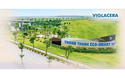 GELEX, Viglacera đẩy mạnh phát triển KCN xanh, hút dòng vốn FDI chất lượng cao