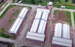 Công ty CP Đầu tư - Phát triển nhà Cà Mau: Tăng tốc dự án nhà ở xã hội