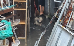 Mưa lớn trút xuống, một số tuyến đường ở Đồng Nai bị ngập vào giờ tan tầm