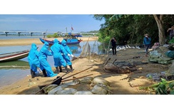 Quảng Ngãi: Khuyến khích người dân tố giác hành vi vứt xác lợn dịch ra môi trường