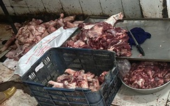 Quảng Ngãi phát hiện hơn 1 tấn thịt heo không xuất xứ tại lò mổ trái phép giữa tâm dịch