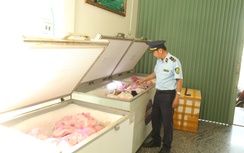 Gia Lai: Tiêu hủy hơn 4 tấn thịt, mỡ heo hôi thối, không rõ nguồn gốc