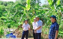 Phú Thọ siết chặt quản lý trật tự xây dựng sau sáp nhập địa giới hành chính