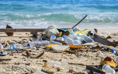 Công nghệ đột phá với vi sinh vật ăn nhựa