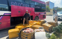 Gần 1 tấn sụn chân gà bốc mùi bị thu giữ ở Huế