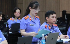 Đề nghị mức án 29 bị cáo vụ Tập đoàn Thuận An