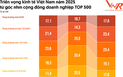 Thấy gì qua Top 500 doanh nghiệp lợi nhuận tốt nhất Việt Nam năm 2025?
