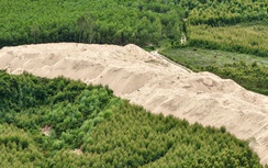 Rà soát, xử lý bãi tập kết cát trên đất nông nghiệp ở Gia Lai