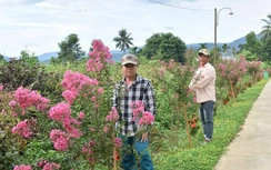 Huế: Diện mạo nông thôn mới khởi sắc từng ngày