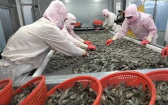 Bộ Công thương: Không để thương mại thủy sản Việt – Mỹ gián đoạn