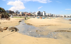 Gia Lai: Biển Nhơn Lý ô nhiễm, chính quyền địa phương triển khai biện pháp khắc phục