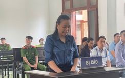 Đắk Lắk: Lừa góp tiền mua bán đất để chiếm đoạt hơn 8 tỷ đồng, người phụ nữ lĩnh 17 năm tù