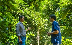 Đà Nẵng: Xã Sơn Cẩm Hà thu hút doanh nghiệp đầu tư, chú trọng phát triển kinh tế vườn